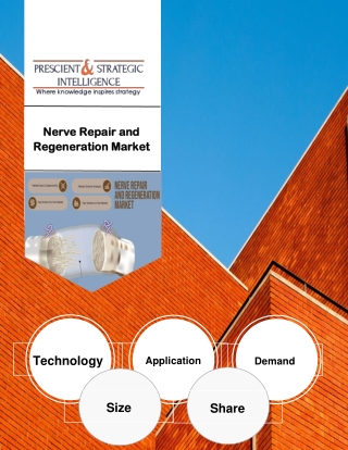 Nerve Repair and Regeneration Market its Future Outlook and Trends