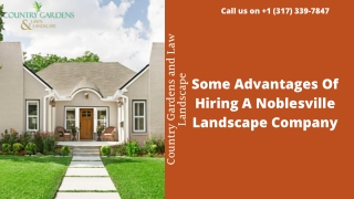 Some Advantages Of Hiring A Noblesville Landscape Company