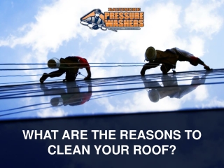 What Are the Reasons to Clean Your Roof?