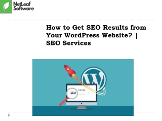 How to Get SEO Results from Your WordPress Website? | SEO Services