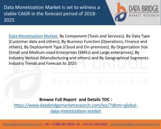 Data Monetization Market is set to witness a stable CAGR in the forecast period of 2018-2025