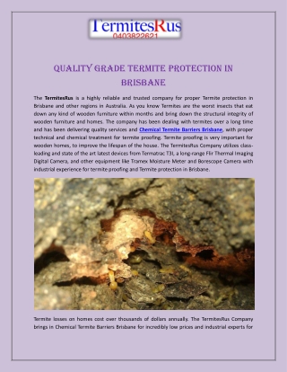 Quality Grade Termite Protection in Brisbane