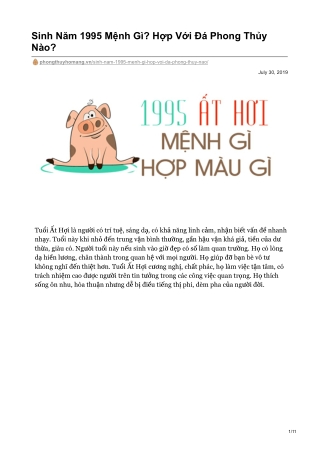 Sinh Năm 1995 Mệnh Gì? Hợp Với Đá Phong Thủy Nào?