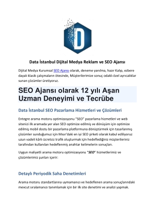 Dataistanbul SEO
