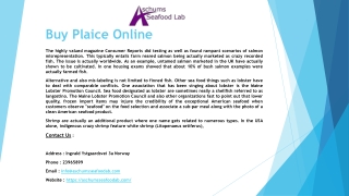 Buy Plaice Online