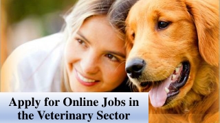Apply for Online Jobs in the Veterinary Sector