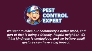 Best Pest Control & Exterminator Services