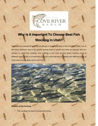 Why Is It Important To Choose Best Fish Stocking In Utah?