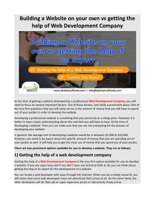 Building a Website on your own vs getting the help of Web Development Company