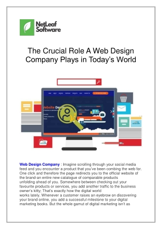 The Crucial Role A Web Design Company Plays in Today’s World