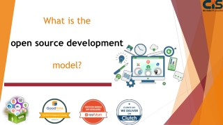 What is the open source development model?