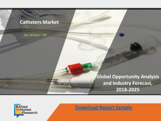 Catheters Market Is Booming Worldwide Business Forecast 2025