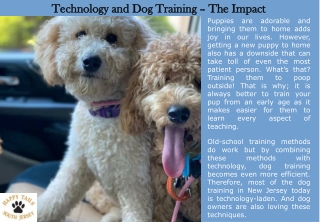 Technology and Dog Training – The Impact