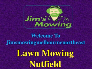 Lawn Mowing Nutfield