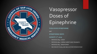 Vasopressor Doses of Epinephrine