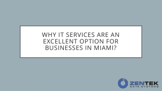 Why IT services are an excellent option for businesses in Miami?