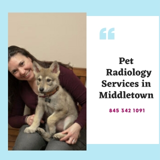 Pet Radiology Services in Middletown