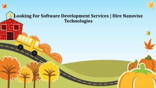 Looking For Software Development Services | Hire Nanovise Technologies