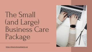 The Small Business Care Package