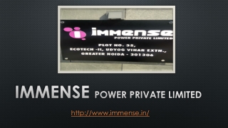 Immense Power Private Ltd
