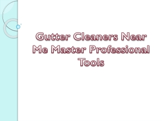 Gutter Cleaners Near Me Master Professional Tools