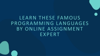 Learn These Famous Programming Languages By Online Assignment Expert