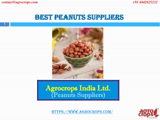Know Your Best Peanuts Suppliers