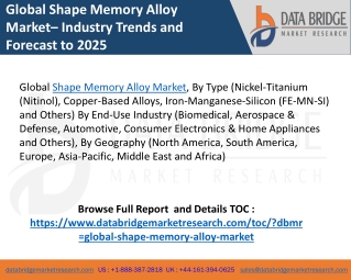 Shape Memory Alloy Market