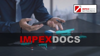 What Categories of Exporters Does IMPEXDOCS Serve?