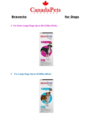 Bravecto For Dogs - CanadaPetsSupplies