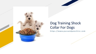 Dog Training Shock Collar For Dogs