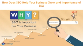 How Does SEO Help Your Business Grow and Importance of SEO