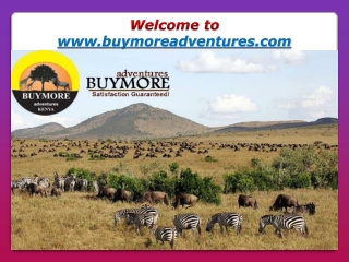 Masai Mara Luxury Safari- A Distinctive Journey to Explore Masai Mara