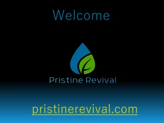Pristine Revival Provide best Under Counter Water Filter