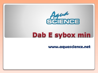 Dab E sybox min