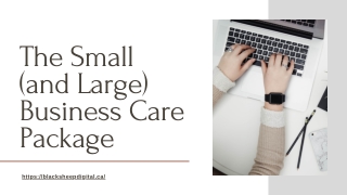 The Small & Large Business Care Package