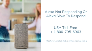 Alexa Not Responding Fixes 1-8007956963 Echo Dot Slow to Respond