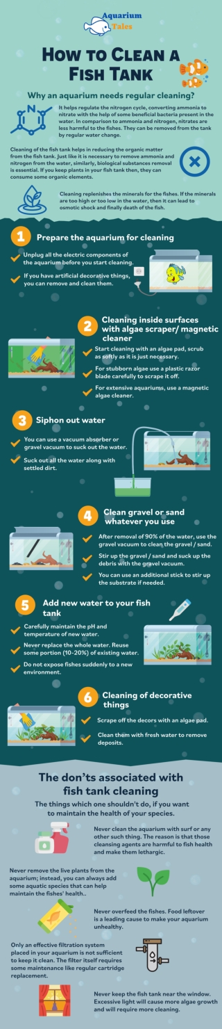 How to Clean a Fish Tank