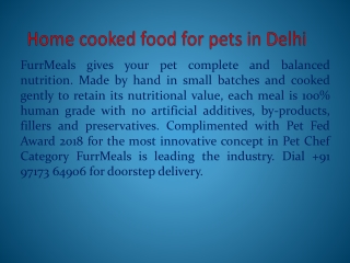 Healthy Dog Food supplier in Delhi