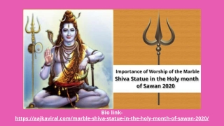 Importance of Worship of the Marble Shiva Statue in the Holy month of Sawan 2020