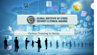 Python Programming in Noida