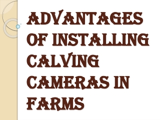 Reasons on Why you Should Install the Calving Cameras