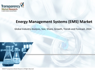 Energy Management Systems (EMS) Market Outlook by Shares, Strategies, and Forecasts Analysis 2016 - 2024