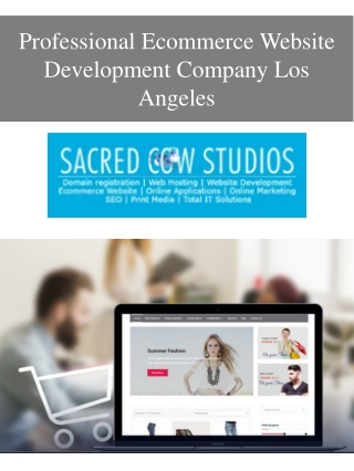 Professional Ecommerce Website Development Company Los Angeles