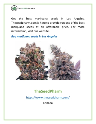 Buy marijuana seeds in Los Angeles | Theseedpharm.com