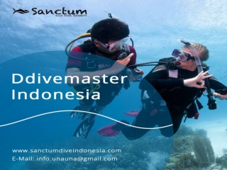 Dive Indonesia