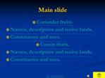 Main slide