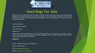 Seed Bags