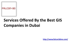 Services Offered By the Best GIS Companies in Dubai