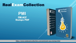 2020 PMI PMI-ACP Prep & Test Bundle, PMI-ACP Exam